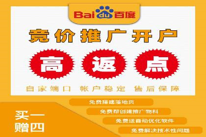 经典案例：SEM代运营服务公司的成功之路